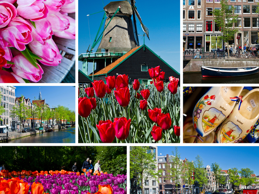 Ik hou van Holland Quiz