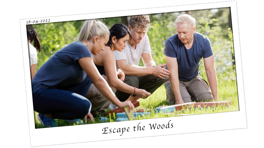 Escape the Woods Hero Image