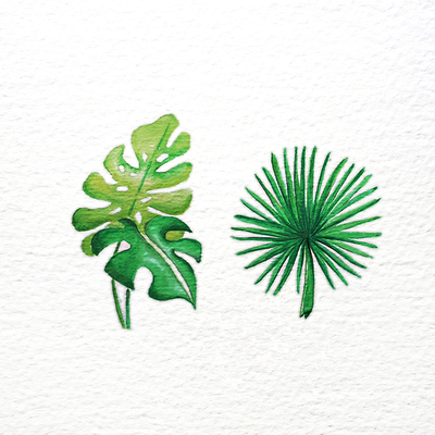 Aquarel Botanisch Blad Website