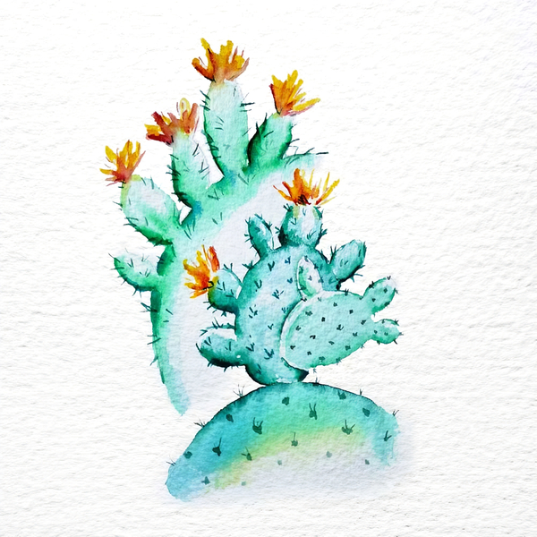 Cactus aquarel