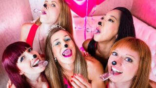 Vrijgezellenfeest Vrouwen Tilburg of Breda